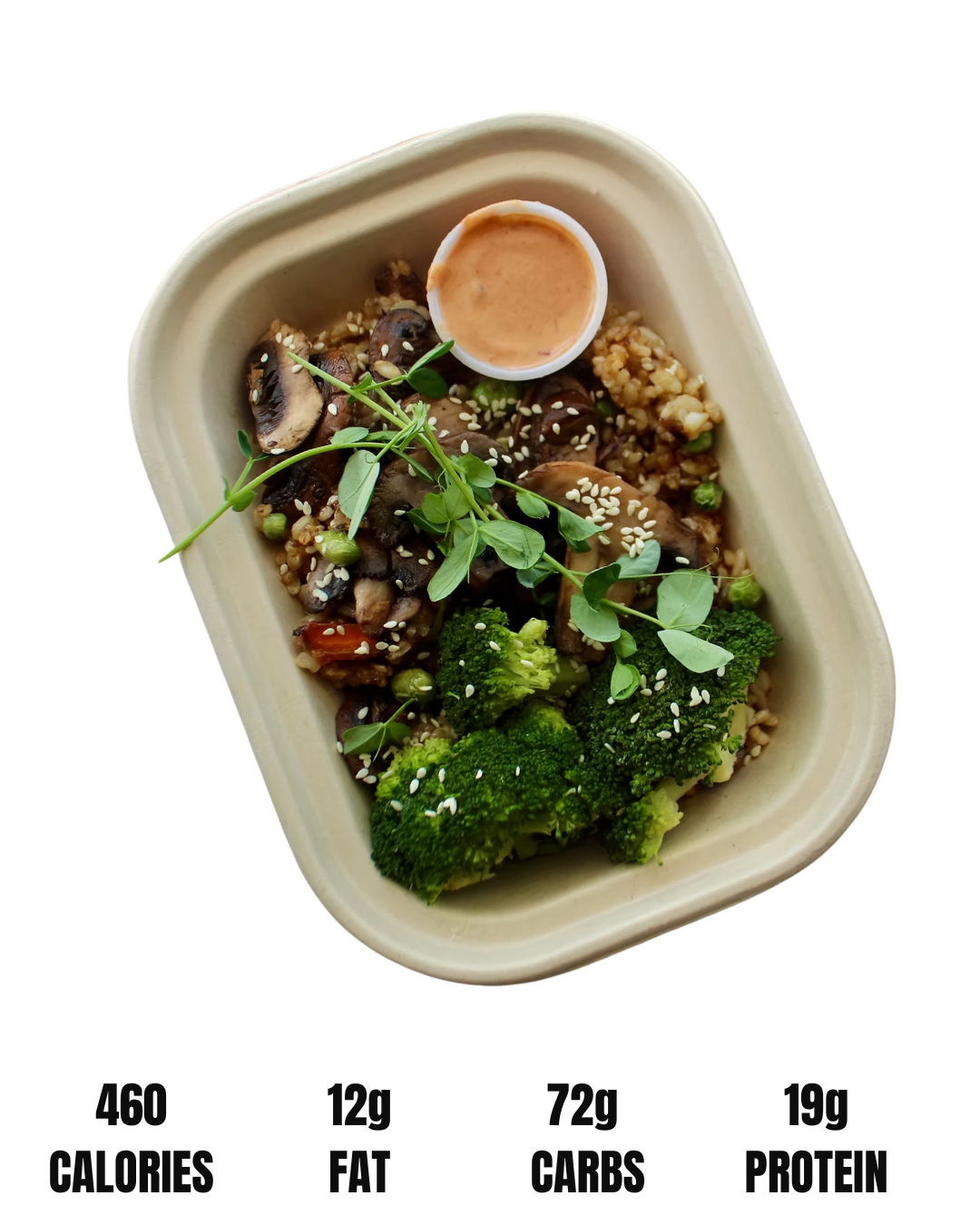 BALANCED FRIED RICE